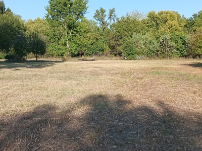 10 Acres of Commercial Land in Neosho, Missouri for Sale - image 20