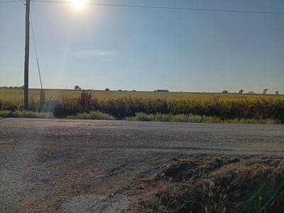 10 Acres of Commercial Land in Neosho, Missouri for Sale - image 16