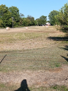 10 Acres of Commercial Land in Neosho, Missouri for Sale - image 9