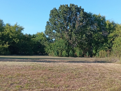 10 Acres of Commercial Land in Neosho, Missouri for Sale - image 19