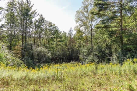 Country Home for sale in Scandinavia, WI - image 18
