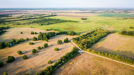 Pasture and Ranch Land For Sale in NE TX - image 20