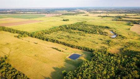 Pasture and Ranch Land For Sale in NE TX - image 11