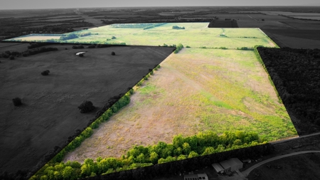 Pasture and Ranch Land For Sale in NE TX - image 1