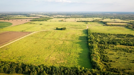 Pasture and Ranch Land For Sale in NE TX - image 5