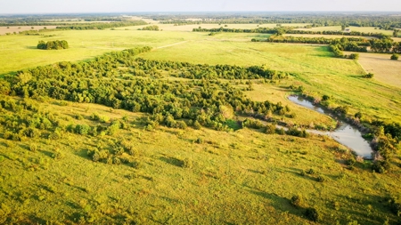 Pasture and Ranch Land For Sale in NE TX - image 12