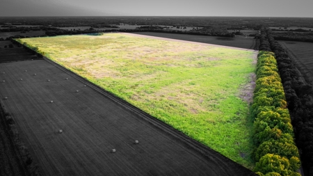 Pasture and Ranch Land For Sale in NE TX - image 4