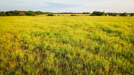 Pasture and Ranch Land For Sale in NE TX - image 16