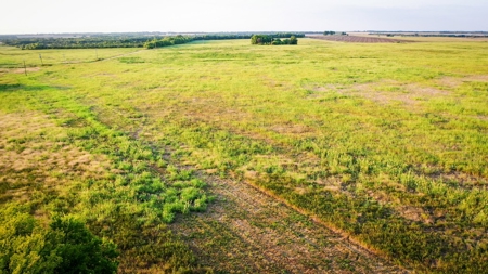 Pasture and Ranch Land For Sale in NE TX - image 18