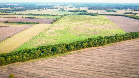 Pasture and Ranch Land For Sale in NE TX - image 25