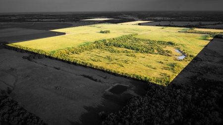 Pasture and Ranch Land For Sale in NE TX - image 3