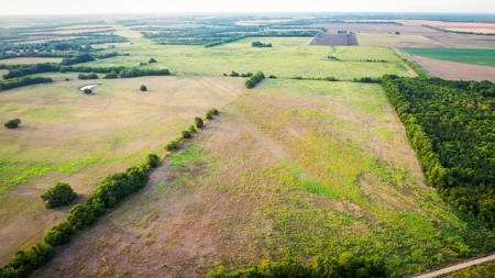 Pasture and Ranch Land For Sale in NE TX - image 9