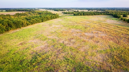 Pasture and Ranch Land For Sale in NE TX - image 22