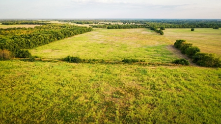 Pasture and Ranch Land For Sale in NE TX - image 7