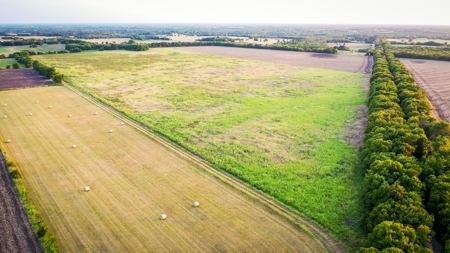 Pasture and Ranch Land For Sale in NE TX - image 23