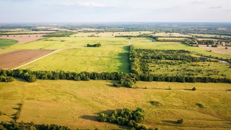 Pasture and Ranch Land For Sale in NE TX - image 6