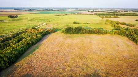 Pasture and Ranch Land For Sale in NE TX - image 21