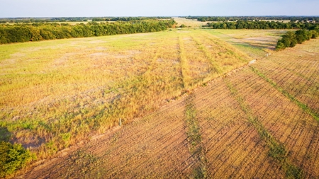 Pasture and Ranch Land For Sale in NE TX - image 17