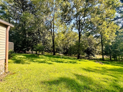 2 bedroom 2 bathroom Gainesville, FL gem in Gainesville, FL - image 3