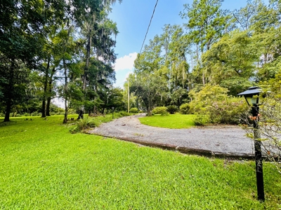 2 bedroom 2 bathroom Gainesville, FL gem in Gainesville, FL - image 11
