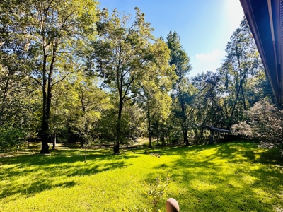 2 bedroom 2 bathroom Gainesville, FL gem in Gainesville, FL - image 2