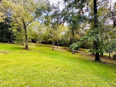 2 bedroom 2 bathroom Gainesville, FL gem in Gainesville, FL - image 10