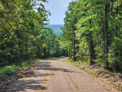 5 Acre Off-Grid Homestead Property - image 22