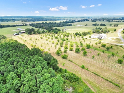 Henderson County Texas Legacy Farm For Sale Near Athens TX - image 4