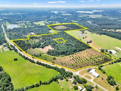 Henderson County Texas Legacy Farm For Sale Near Athens TX - image 2