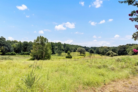 Henderson County Texas Legacy Farm For Sale Near Athens TX - image 17