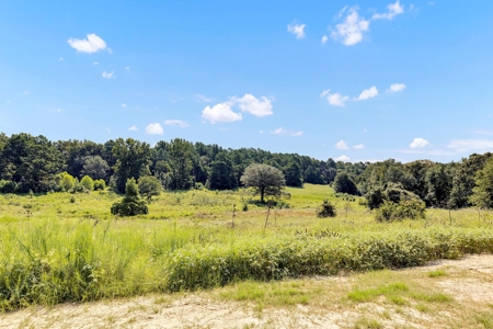 Henderson County Texas Legacy Farm For Sale Near Athens TX - image 16