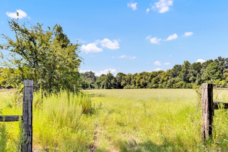 Henderson County Texas Legacy Farm For Sale Near Athens TX - image 12