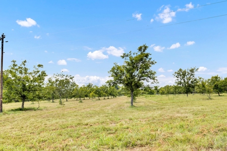 Henderson County Texas Legacy Farm For Sale Near Athens TX - image 5