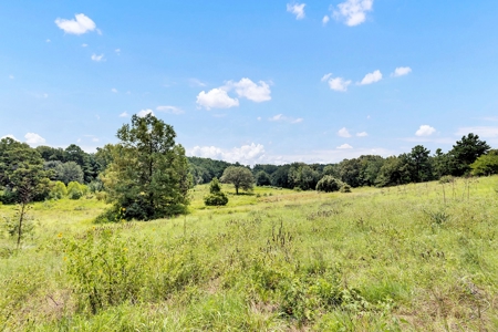 Henderson County Texas Legacy Farm For Sale Near Athens TX - image 19