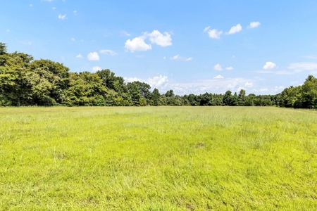 Henderson County Texas Legacy Farm For Sale Near Athens TX - image 13