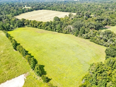 Henderson County Texas Legacy Farm For Sale Near Athens TX - image 9