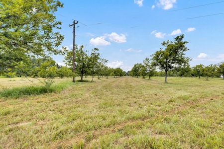 Henderson County Texas Legacy Farm For Sale Near Athens TX - image 8