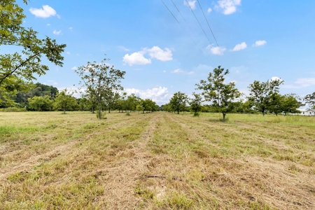 Henderson County Texas Legacy Farm For Sale Near Athens TX - image 7