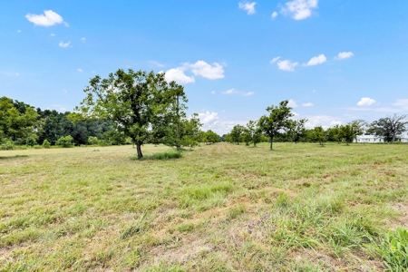 Henderson County Texas Legacy Farm For Sale Near Athens TX - image 6