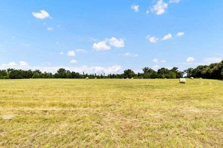 Henderson County Texas Legacy Farm For Sale Near Athens TX - image 15