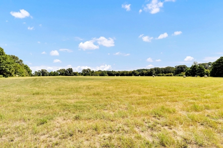 Henderson County Texas Legacy Farm For Sale Near Athens TX - image 14