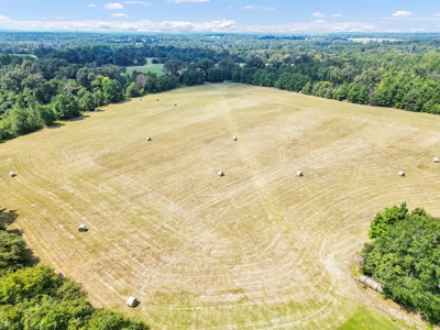 Henderson County Texas Legacy Farm For Sale Near Athens TX - image 11