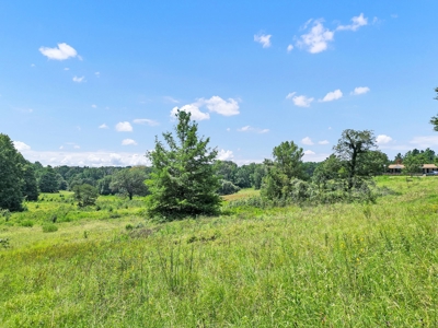 Henderson County Texas Legacy Farm For Sale Near Athens TX - image 18