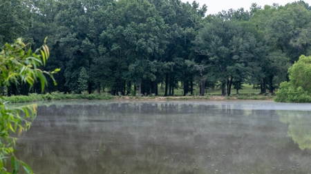 Overton Texas Ranch for Sale in Rusk County East of Dallas - image 32
