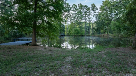 Overton Texas Ranch for Sale in Rusk County East of Dallas - image 21