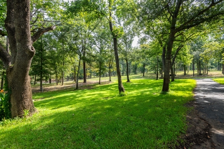 Overton Texas Ranch for Sale in Rusk County East of Dallas - image 30