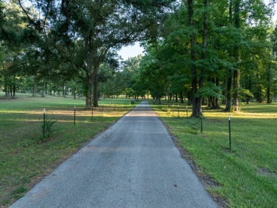 Overton Texas Ranch for Sale in Rusk County East of Dallas - image 4