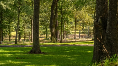 Overton Texas Ranch for Sale in Rusk County East of Dallas - image 31