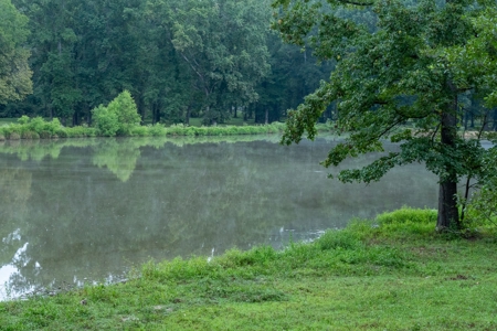 Overton Texas Ranch for Sale in Rusk County East of Dallas - image 33