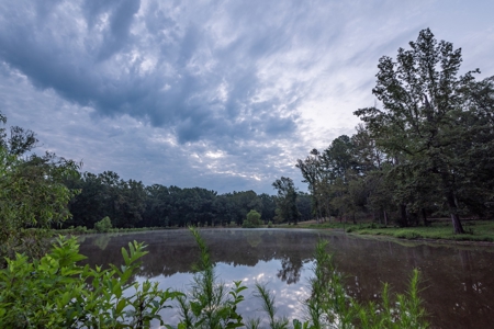 Overton Texas Ranch for Sale in Rusk County East of Dallas - image 25